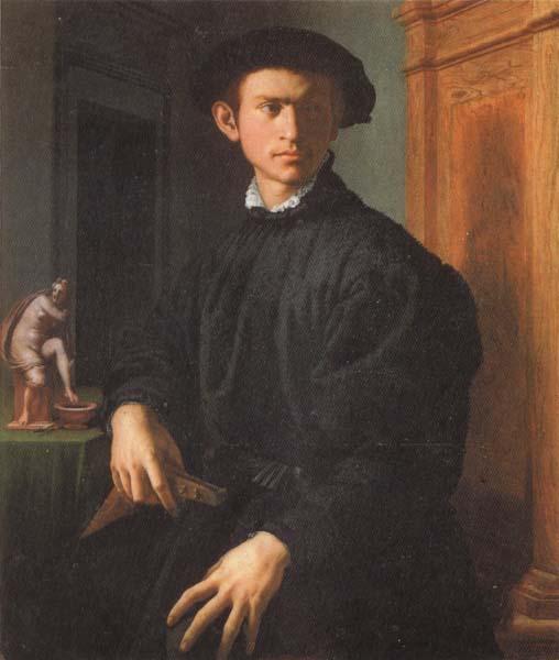 Agnolo Bronzino Portrait of a Young Man with a Lute